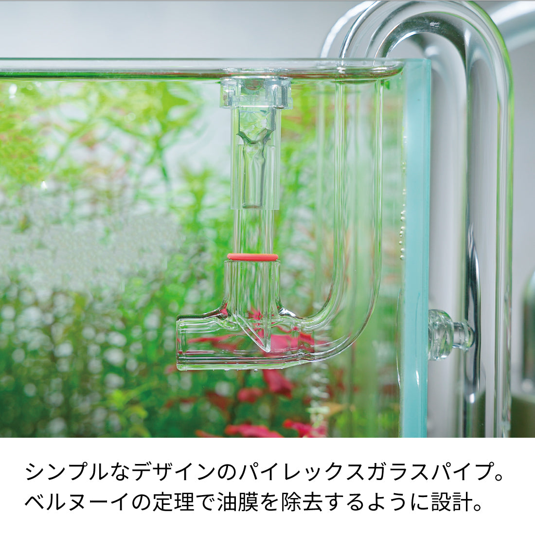 LEDSTAR 水槽 ガラスパイプ(inflow/outflow:12mm/16mm)|美しさを追求して…|
