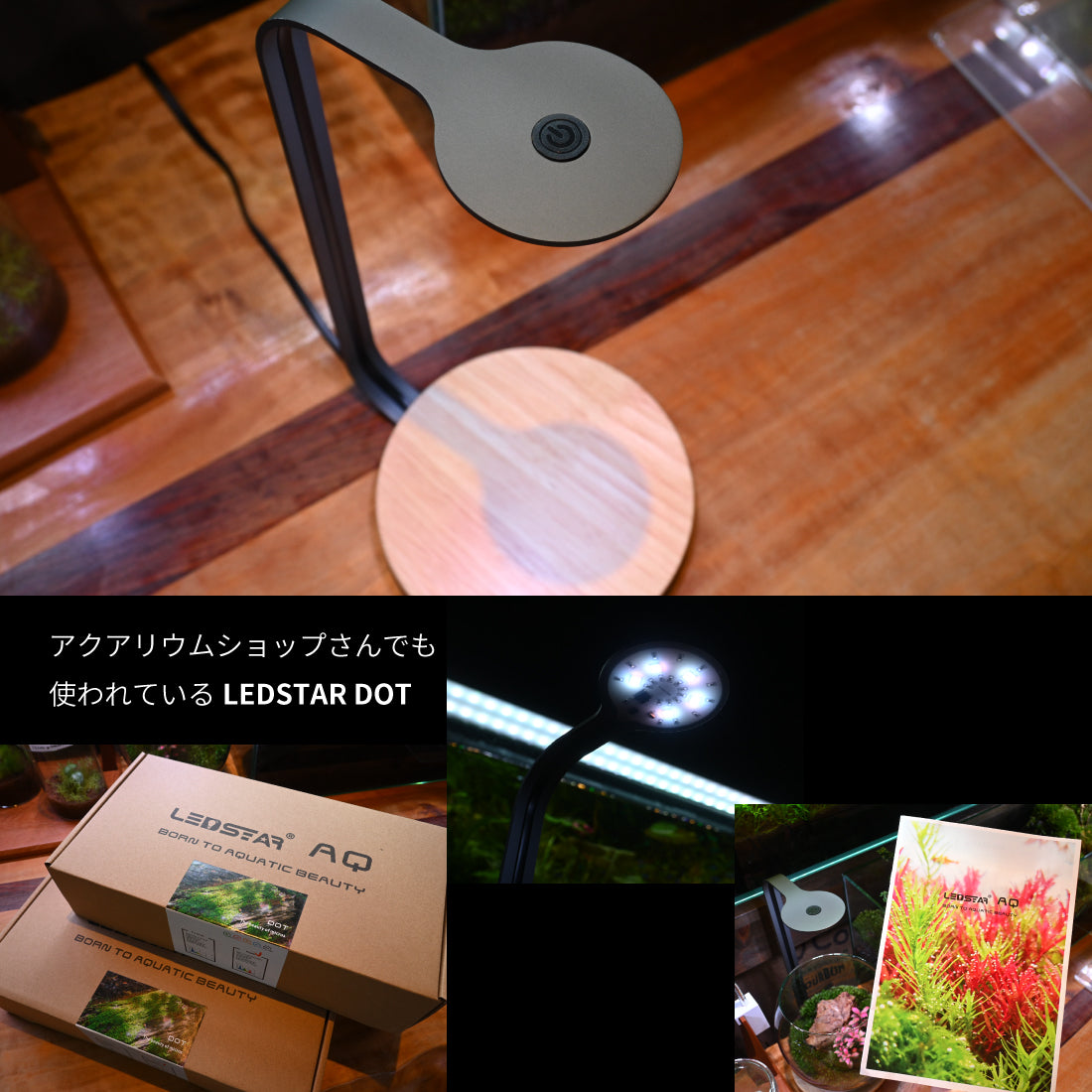 LEDSTAR デスクトップ型水槽ライト DOT|ボトルアクアのかわいい相棒|