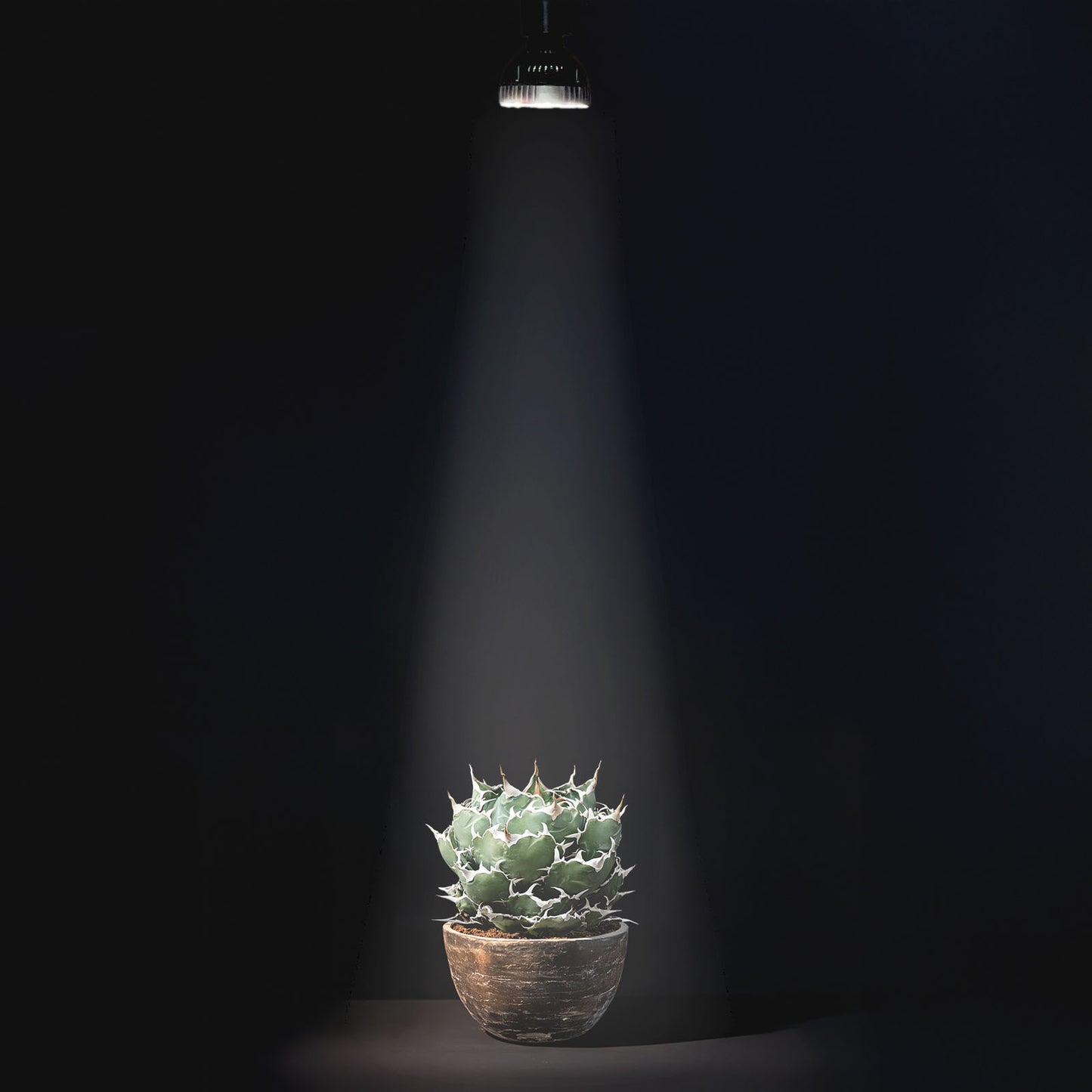 LEDSTAR P33 LEDライト 植物育成ライト 高PPFD 植物用 アガベ 冷却ファン内臓 オスラム社 PSE認証 技適認証済 正規代理店 観葉植物 ライト ledstar 5800K