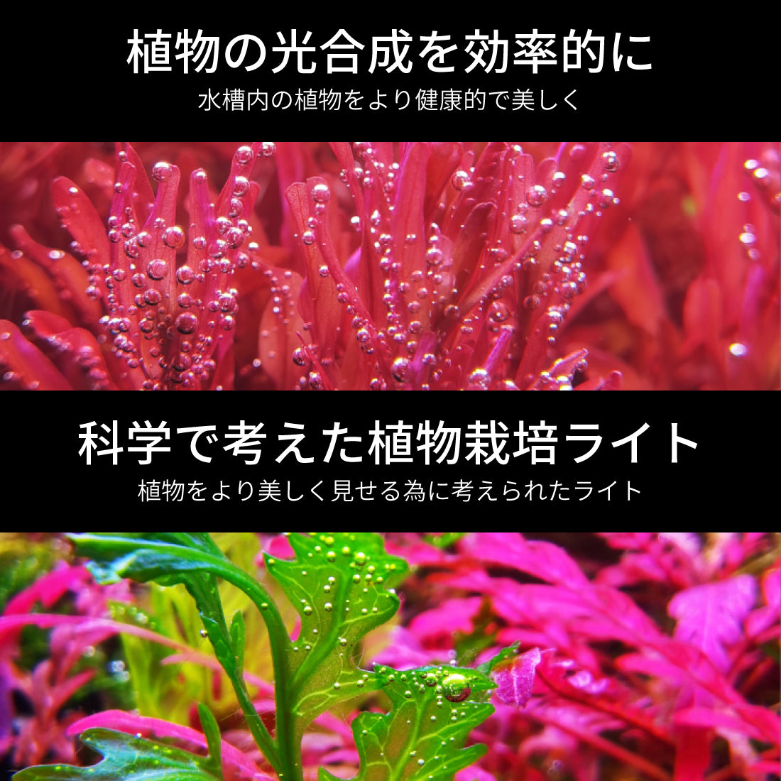 LEDSTAR 水槽ライトS2(30㎝/45㎝/60㎝/90㎝)|Sから始めるLEDSTAR|