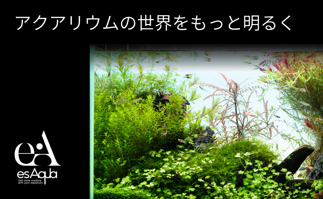 esAqua 水槽 バック スクリーン LEDライト PSE認証 メーカー正規保証 アクアリウム ライトスクリーン 【 調光器付 】 水槽ライト パルダリウム 熱帯魚 メダカ バックライト グラデーションシート貼り付け済み 調光器付 エスアクア 30cm～120cm