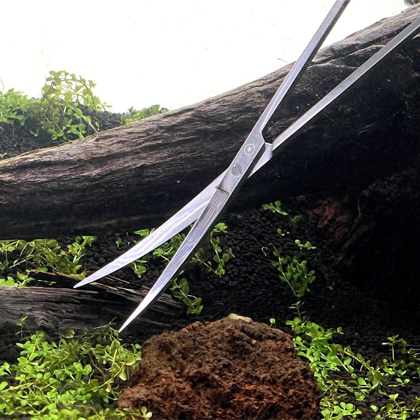 LEDSTAR 水草 トリミング ハサミ アクアリウム テラリウム メンテナンス 水槽 オールステンレス プロ仕様 ツール Tony