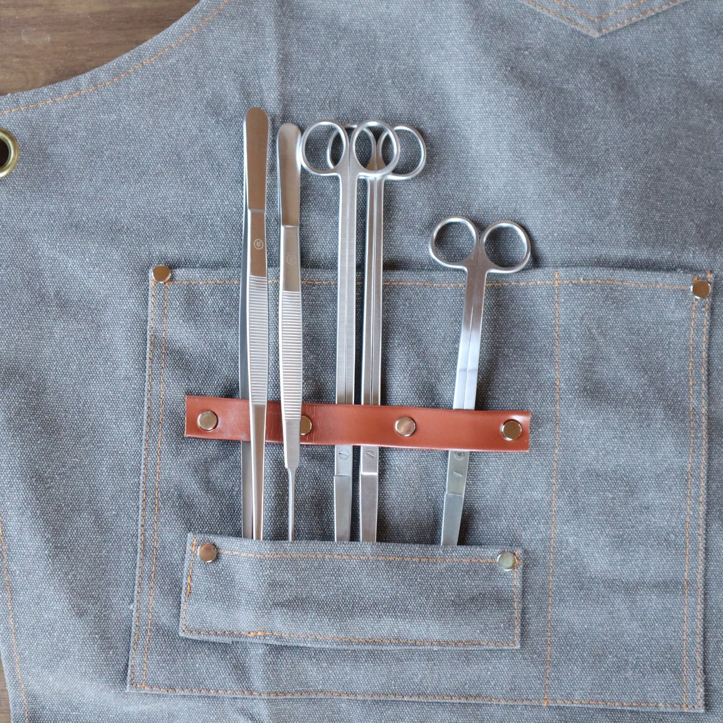 LEDSTAR 水草 トリミング ハサミ アクアリウム テラリウム メンテナンス 水槽 オールステンレス プロ仕様 ツール Tony