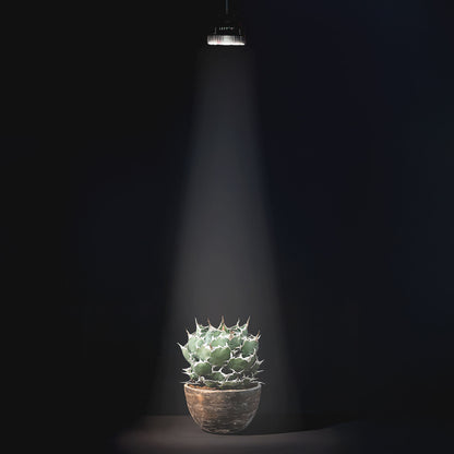LEDSTAR P33 LEDライト 植物育成ライト 高PPFD 植物用 アガベ 冷却ファン内臓 オスラム社 PSE認証 技適認証済 正規代理店 観葉植物 ライト ledstar 5800K