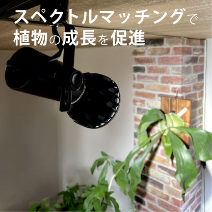 LEDSTAR P33 LEDライト 植物育成ライト 高PPFD 植物用 アガベ 冷却ファン内臓 オスラム社 PSE認証 技適認証済 正規代理店 観葉植物 ライト ledstar 5800K