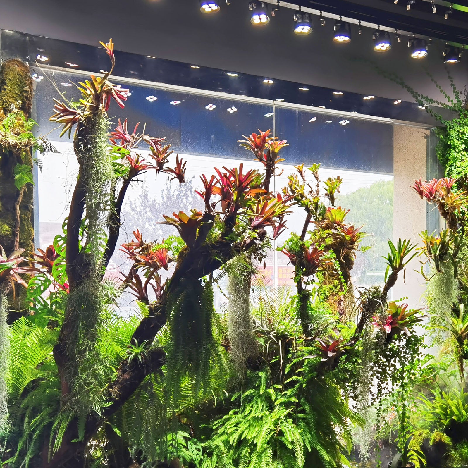 デジタルPPFD測定器 植物育成ライト2705 植物育成LED上級編】 UV/PPFD 計測器決定版 | BEAT GARDEN